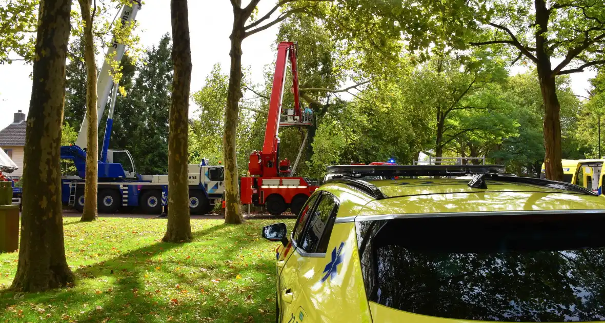 Bekneld bij snoeiwerkzaamheden - Foto 10