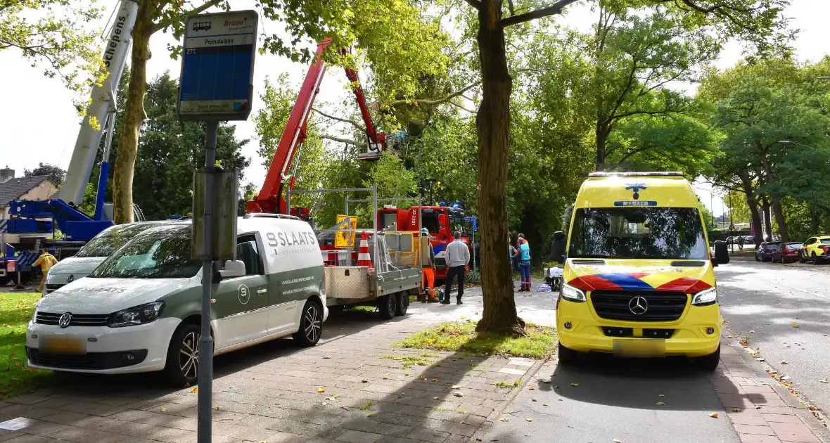 Bekneld bij snoeiwerkzaamheden - Foto 11