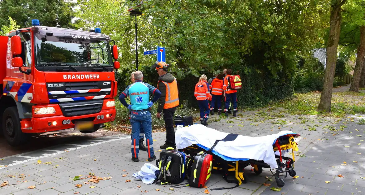 Bekneld bij snoeiwerkzaamheden - Foto 12