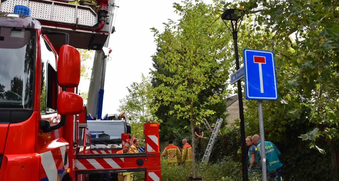 Bekneld bij snoeiwerkzaamheden - Foto 13