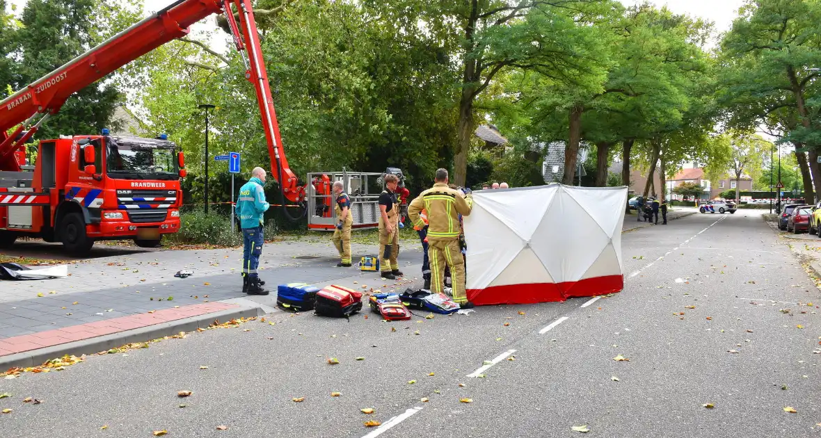 Bekneld bij snoeiwerkzaamheden - Foto 4