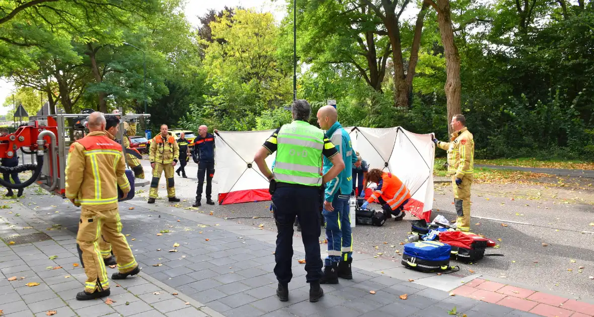 Bekneld bij snoeiwerkzaamheden - Foto 5