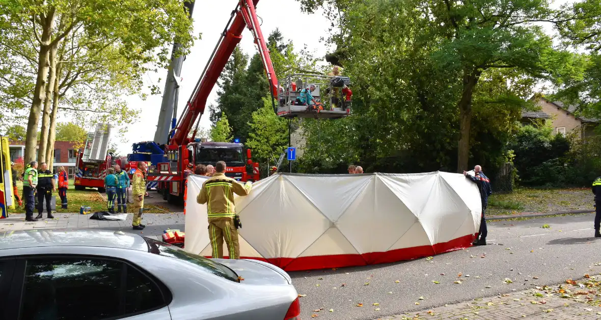 Bekneld bij snoeiwerkzaamheden - Foto 6