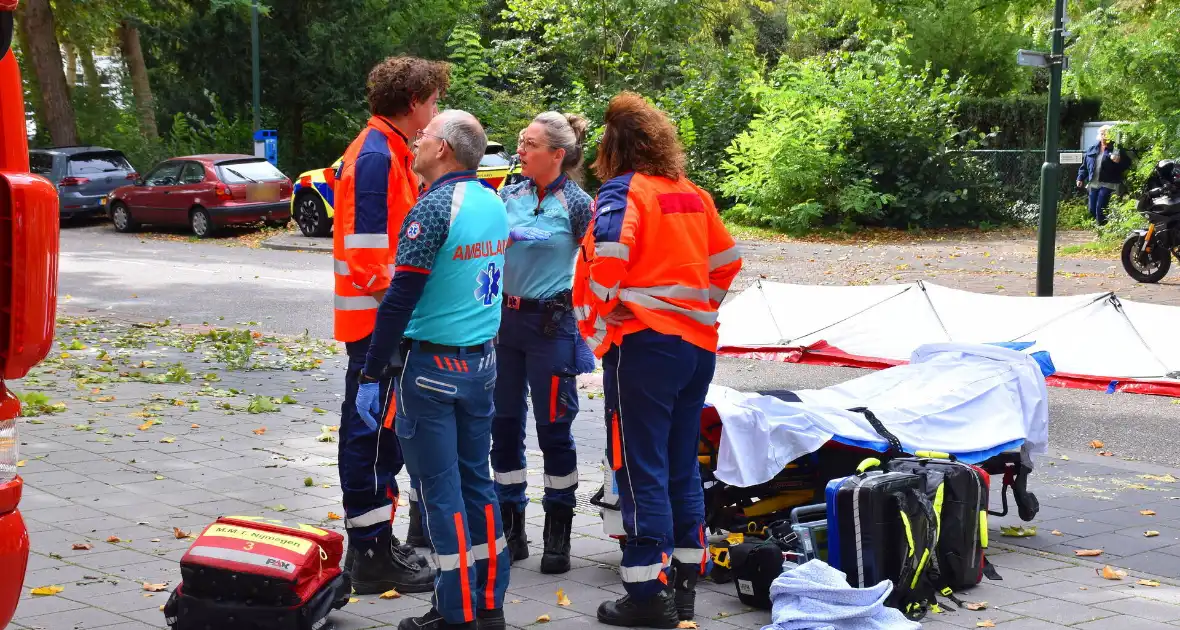 Bekneld bij snoeiwerkzaamheden - Foto 7