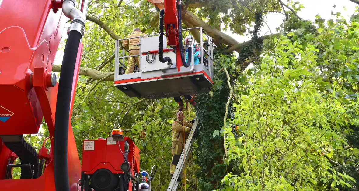 Bekneld bij snoeiwerkzaamheden - Foto 8