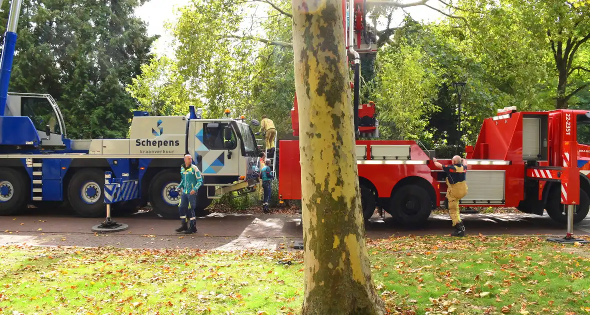 Bekneld bij snoeiwerkzaamheden - Foto 9