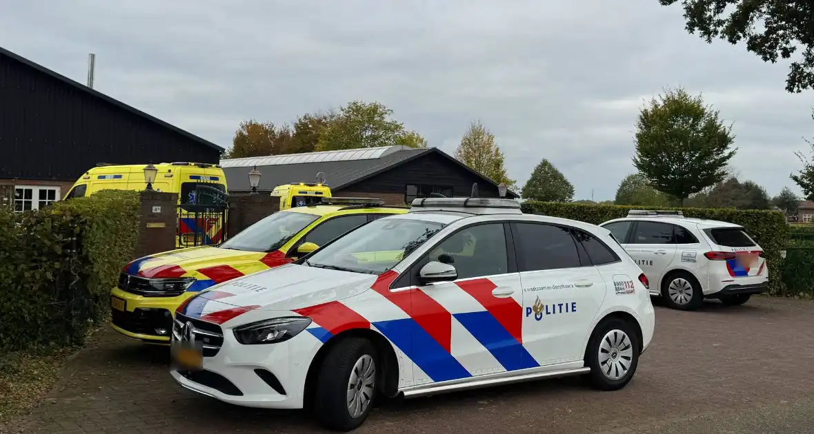 Vrouw zwaargewond na val van paard - Foto 1
