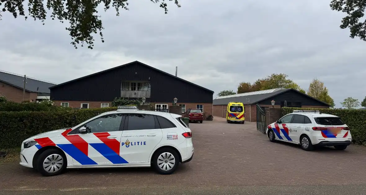 Vrouw zwaargewond na val van paard - Foto 4