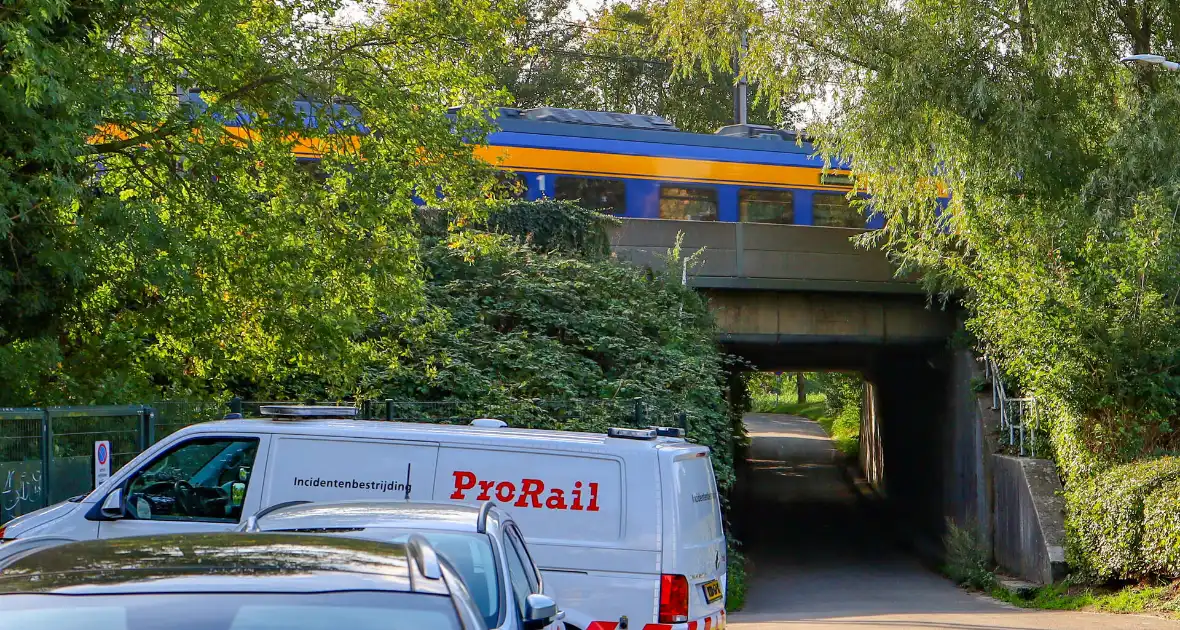 Brand in trein leidt tot verstoring van treinverkeer - Foto 2