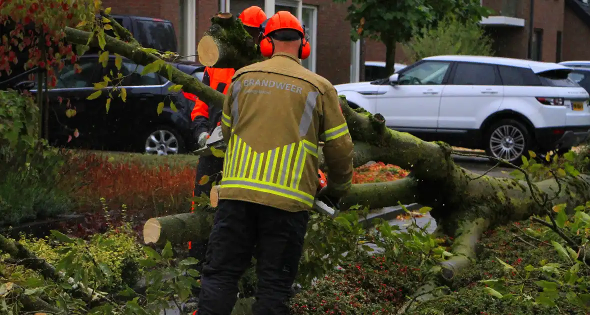 Storm veroorzaakt schade door omgevallen boom