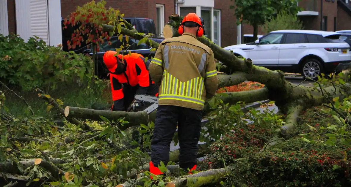 Storm veroorzaakt schade door omgevallen boom - Foto 1