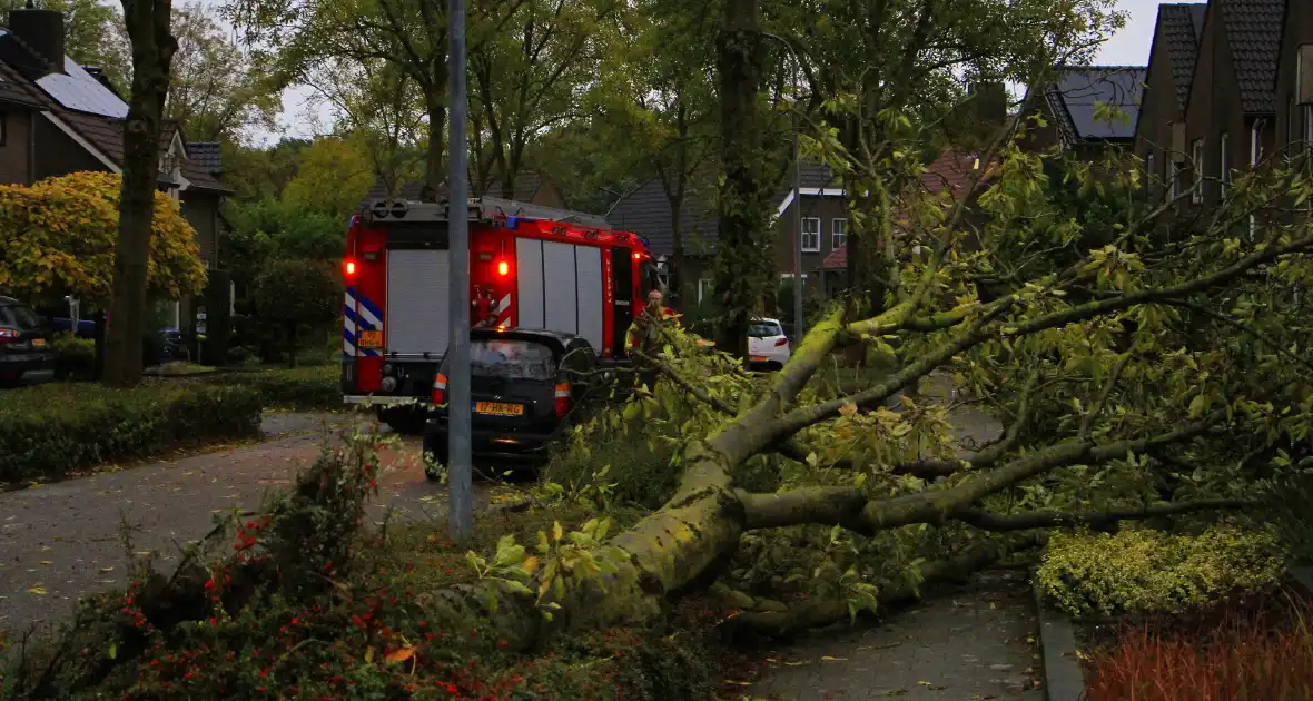 Storm veroorzaakt schade door omgevallen boom - Foto 10