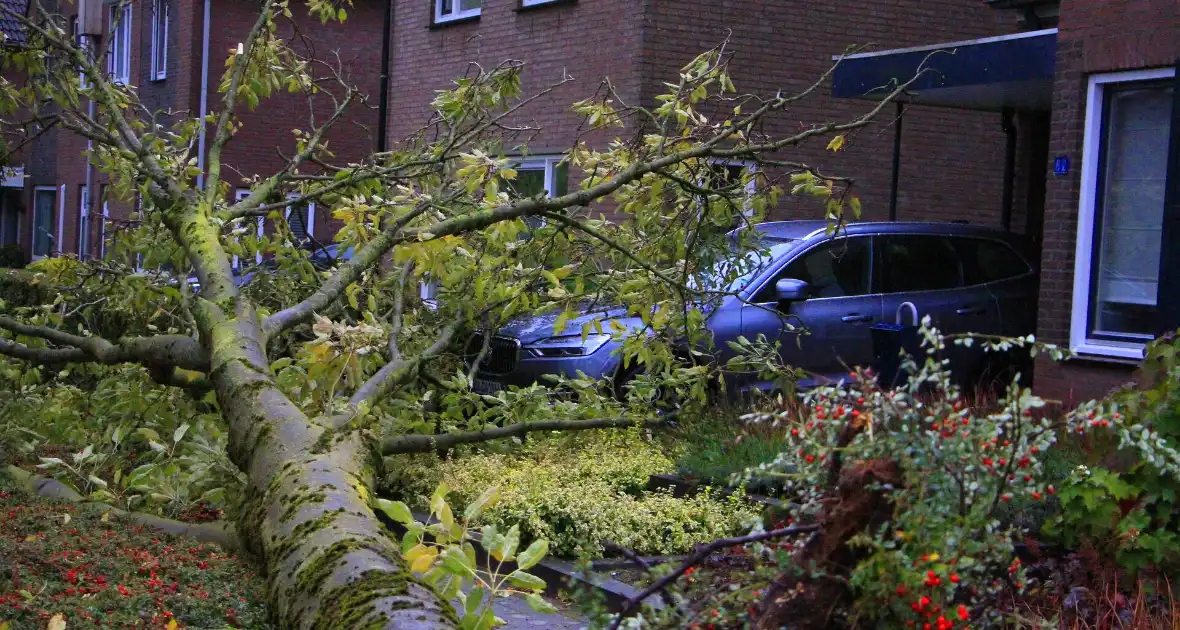 Storm veroorzaakt schade door omgevallen boom - Foto 11