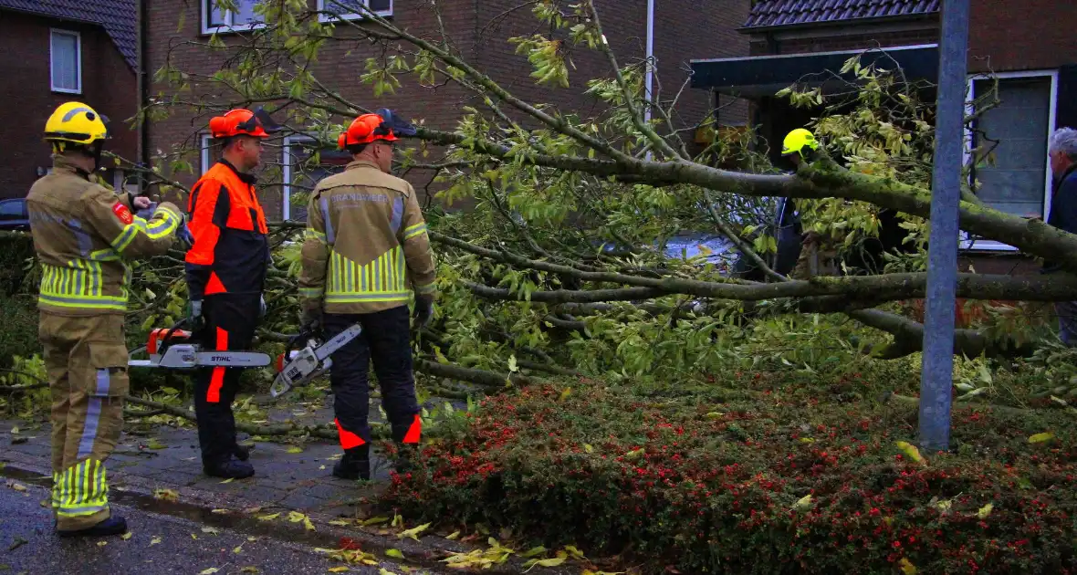 Storm veroorzaakt schade door omgevallen boom - Foto 12