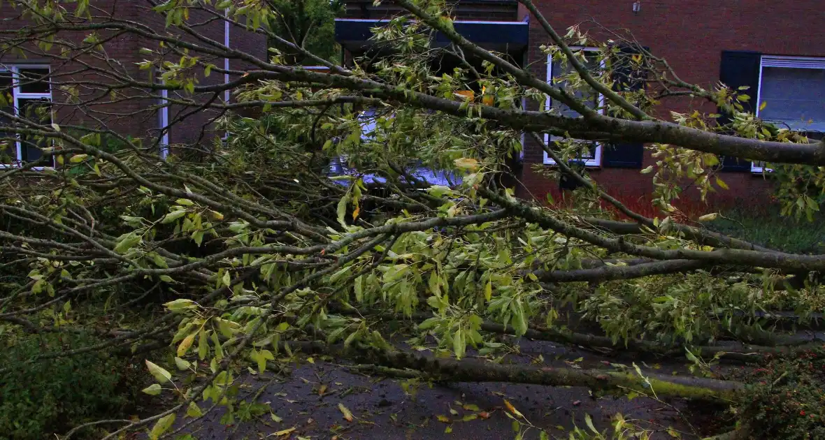 Storm veroorzaakt schade door omgevallen boom - Foto 15