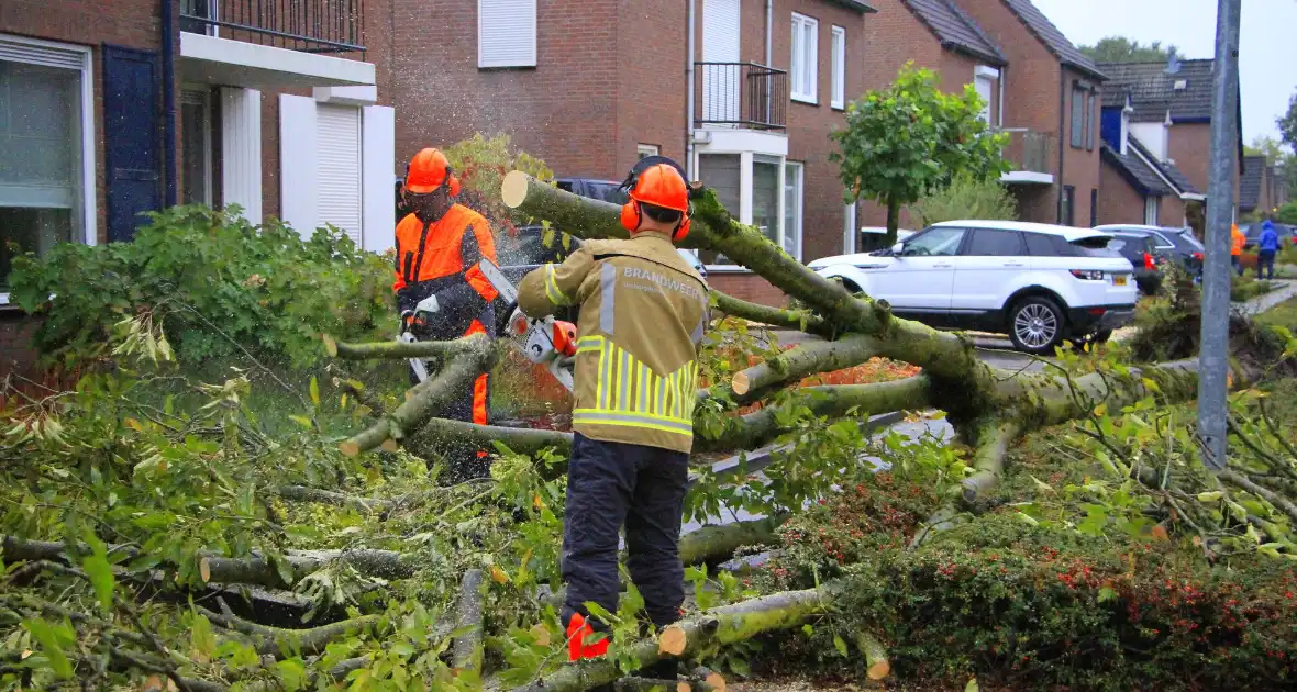 Storm veroorzaakt schade door omgevallen boom - Foto 2
