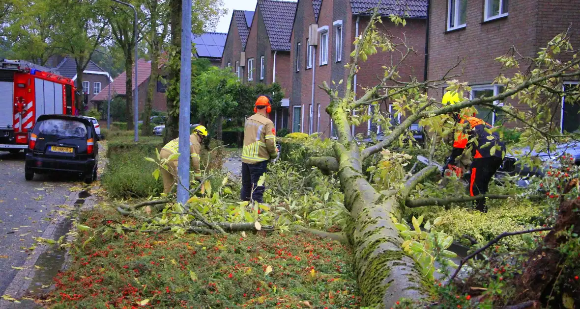 Storm veroorzaakt schade door omgevallen boom - Foto 3
