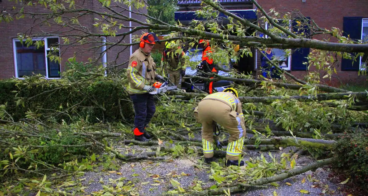 Storm veroorzaakt schade door omgevallen boom - Foto 4