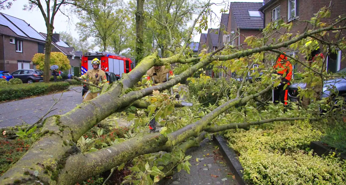 Storm veroorzaakt schade door omgevallen boom - Foto 6