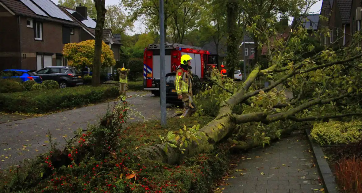 Storm veroorzaakt schade door omgevallen boom - Foto 7