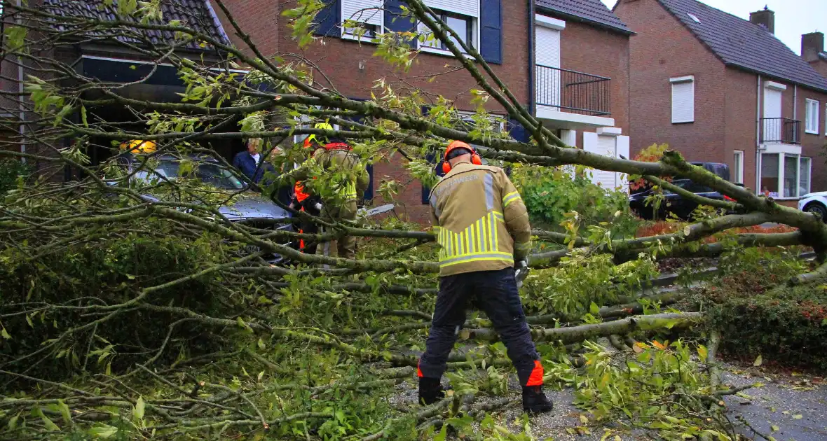 Storm veroorzaakt schade door omgevallen boom - Foto 8