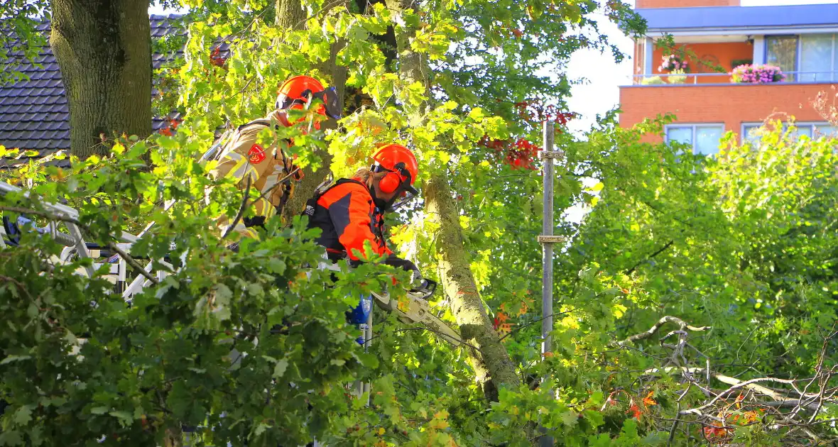 Storm veroorzaakt schade door afgebroken takken