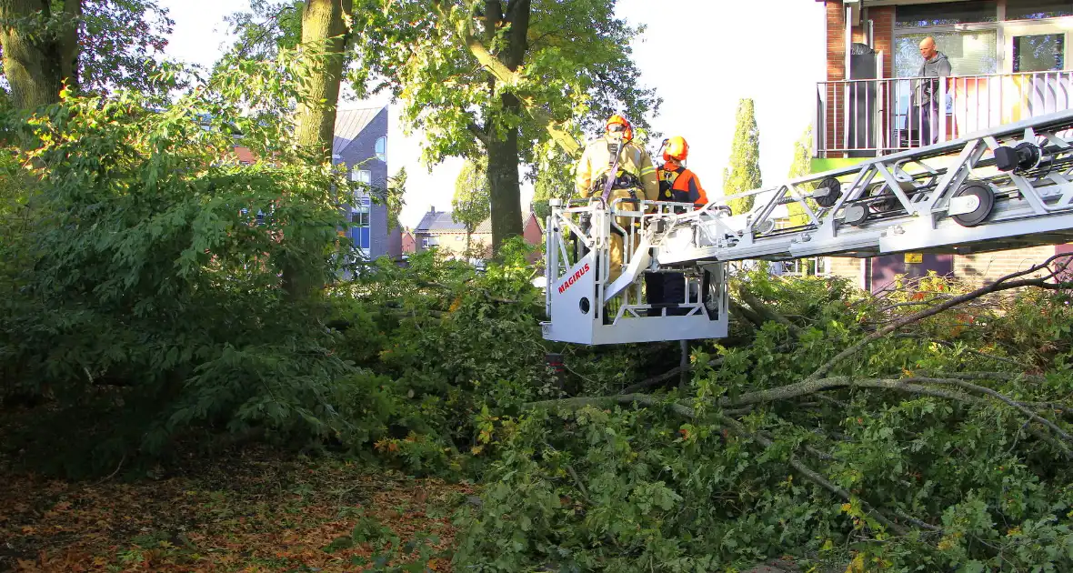 Storm veroorzaakt schade door afgebroken takken - Foto 1
