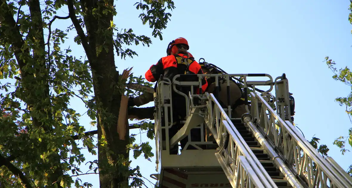Storm veroorzaakt schade door afgebroken takken - Foto 2