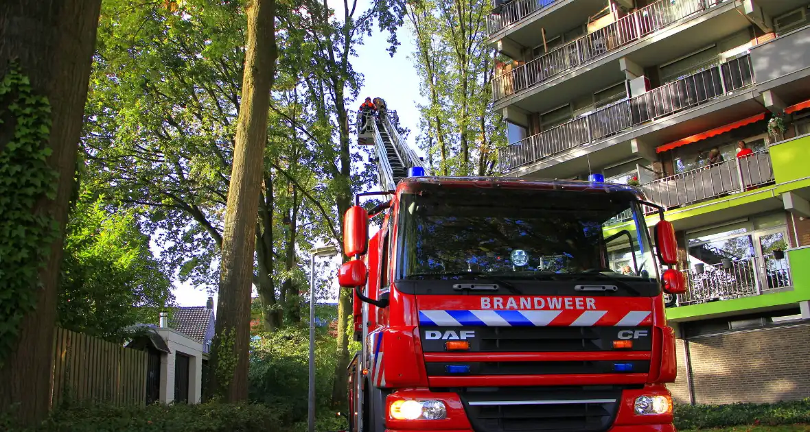 Storm veroorzaakt schade door afgebroken takken - Foto 3