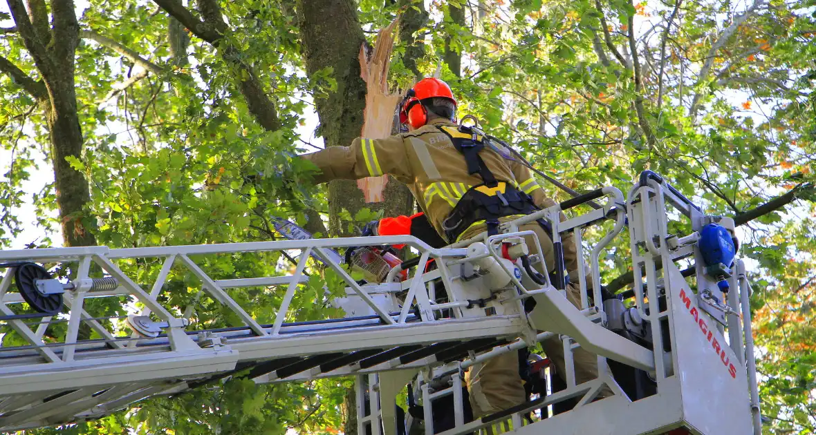 Storm veroorzaakt schade door afgebroken takken - Foto 4