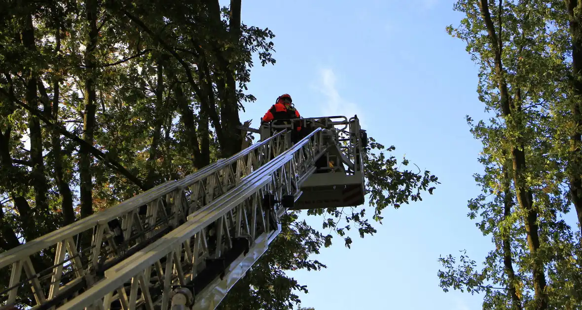 Storm veroorzaakt schade door afgebroken takken - Foto 5