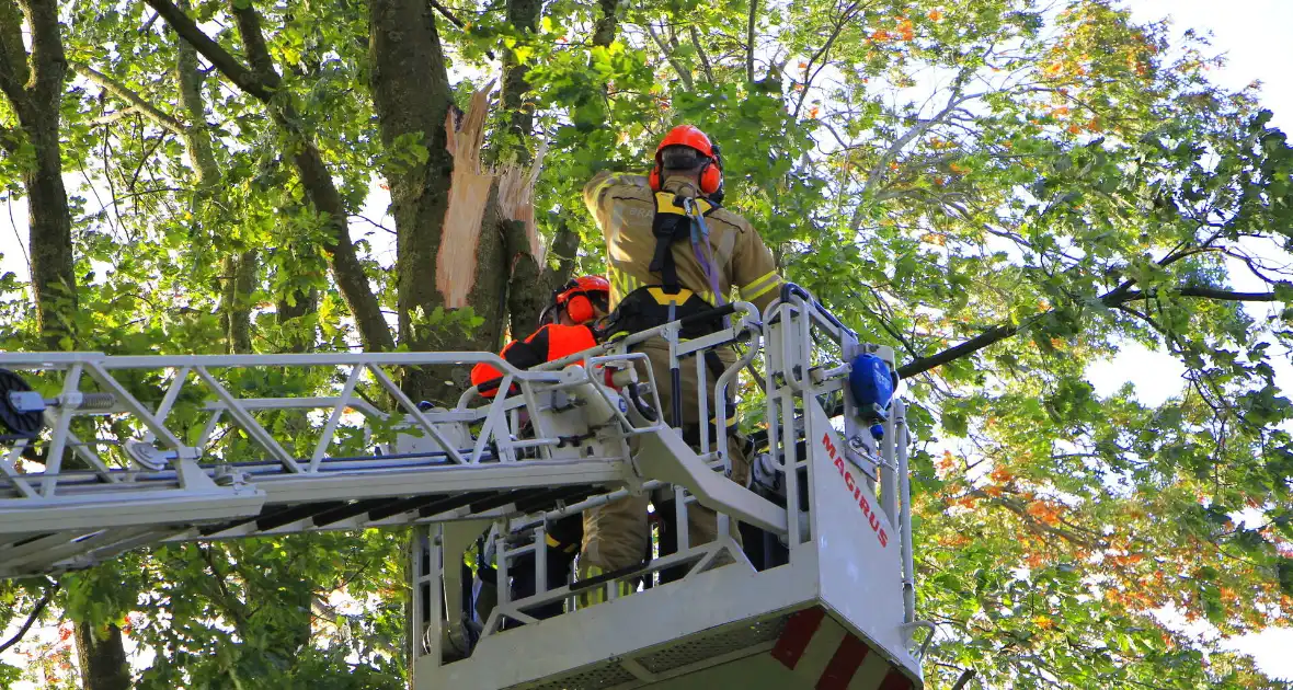 Storm veroorzaakt schade door afgebroken takken - Foto 6