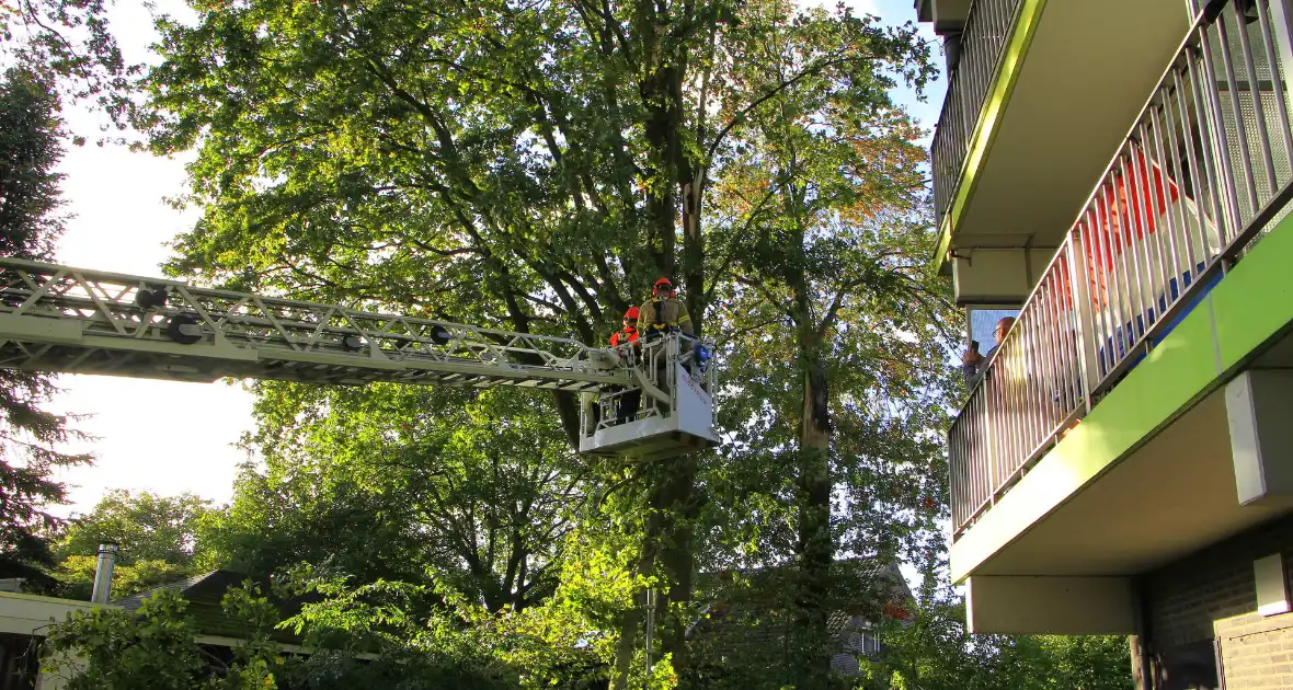 Storm veroorzaakt schade door afgebroken takken - Foto 7