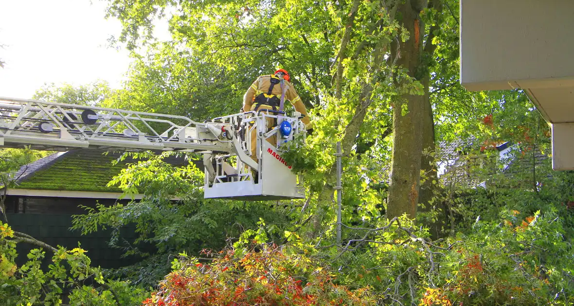 Storm veroorzaakt schade door afgebroken takken - Foto 9