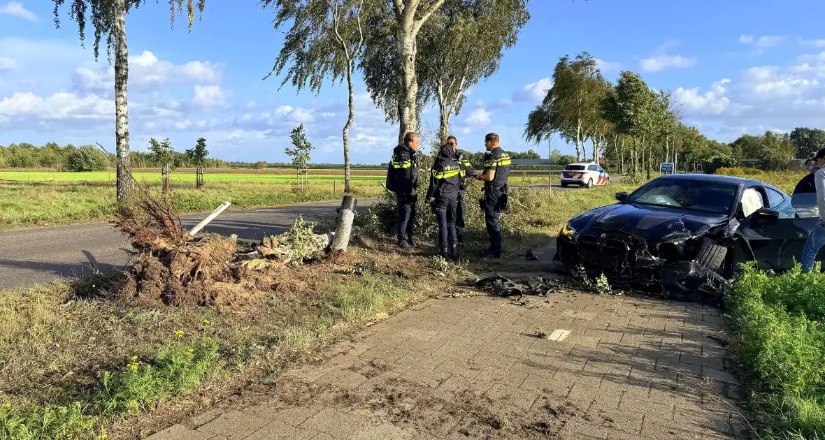 Auto vliegt uit de bocht en botst tegen boom - Foto 3