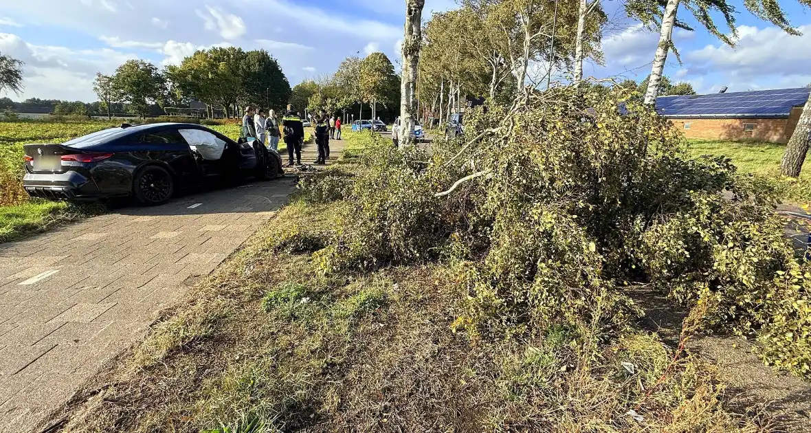 Auto vliegt uit de bocht en botst tegen boom - Foto 5