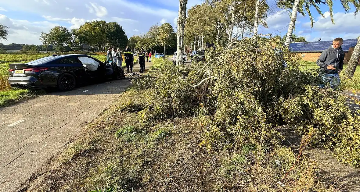 Auto vliegt uit de bocht en botst tegen boom - Foto 6