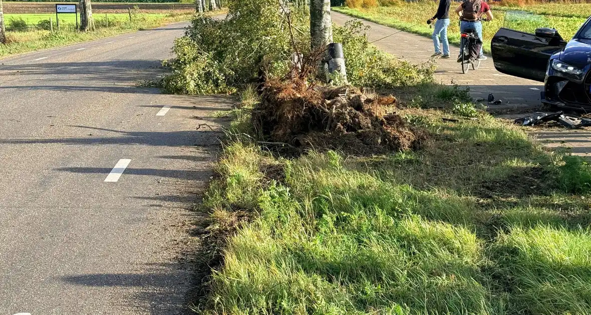 Auto vliegt uit de bocht en botst tegen boom - Foto 8