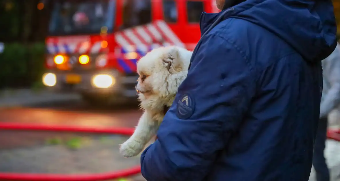 Dode bij grote brand in flat, brandweerlieden onwel