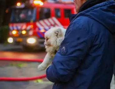 Grote brand leidt tot evacuatie flatgebouw