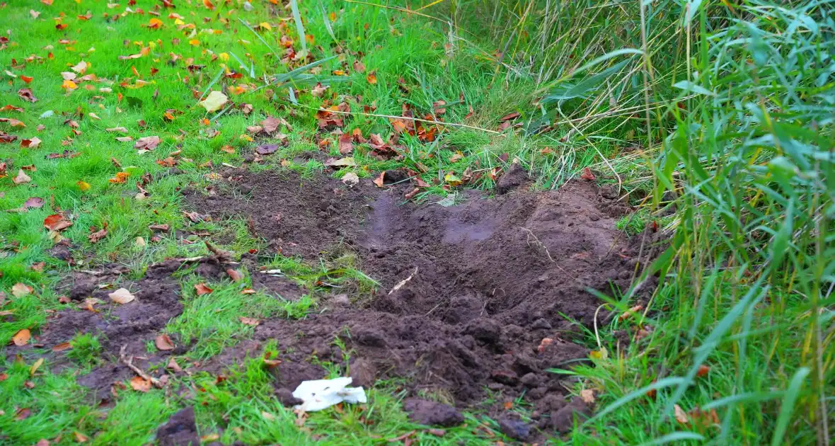 Explosieven gevonden nabij speeltuin - Foto 2