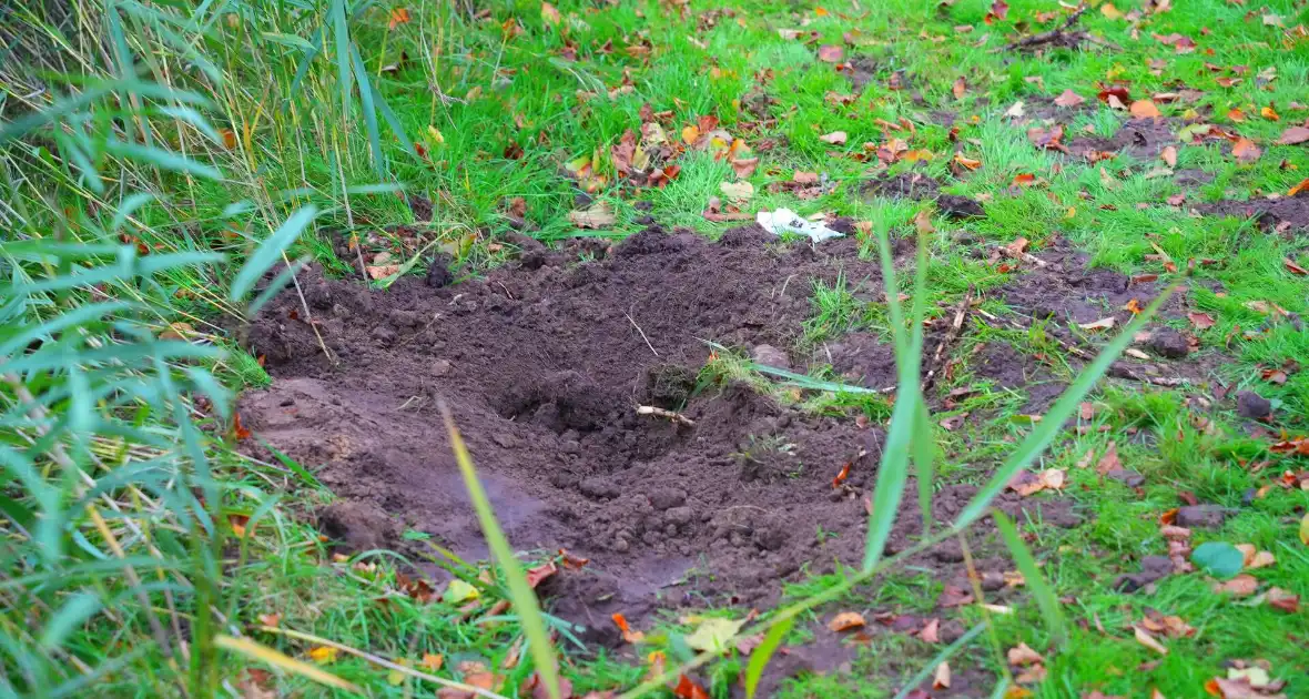 Explosieven gevonden nabij speeltuin - Foto 4