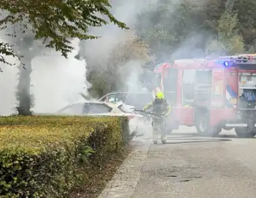 Geparkeerde personenauto gaat in vlammen op