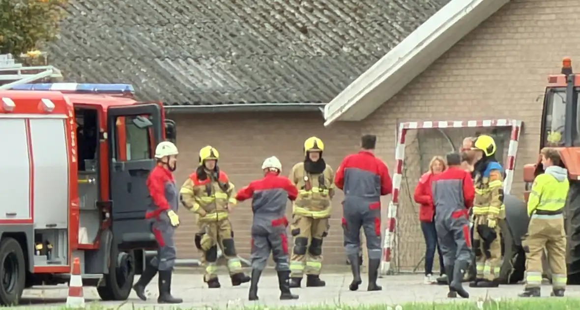 Varkens raken in de problemen bij mestput - Foto 2