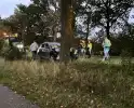 Auto raakt van weg en knalt tegen boom