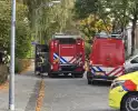 Plastic Bloemen Veroorzaken Brand