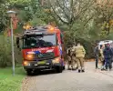 Gaslek in woning leidt tot evacuatie