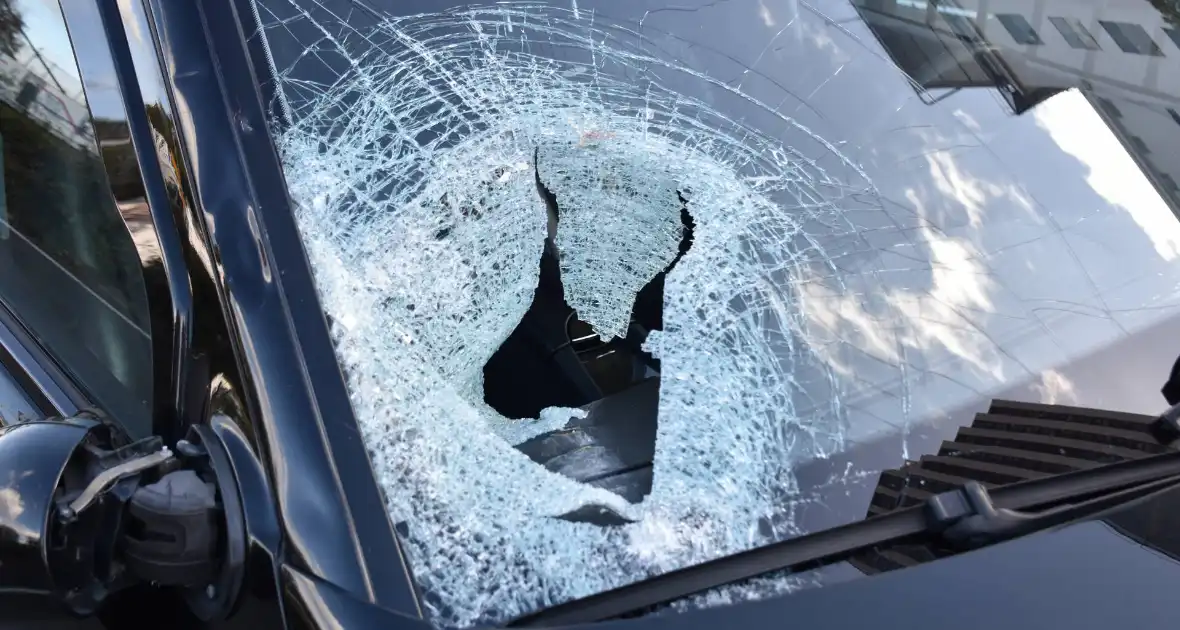 Ongeval met dodelijke afloop - Foto 6