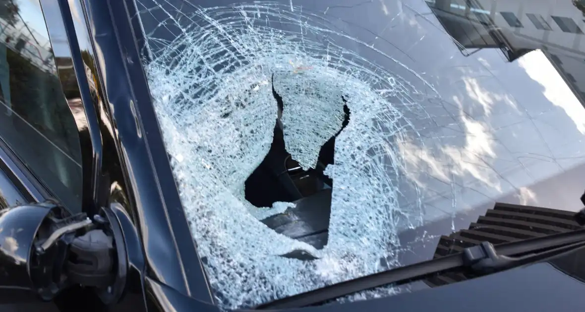 Ongeval met dodelijke afloop - Foto 7