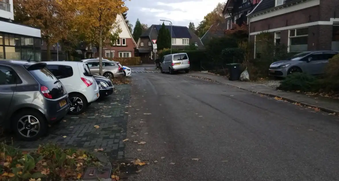 Hulpdiensten massaal ingezet - Foto 4